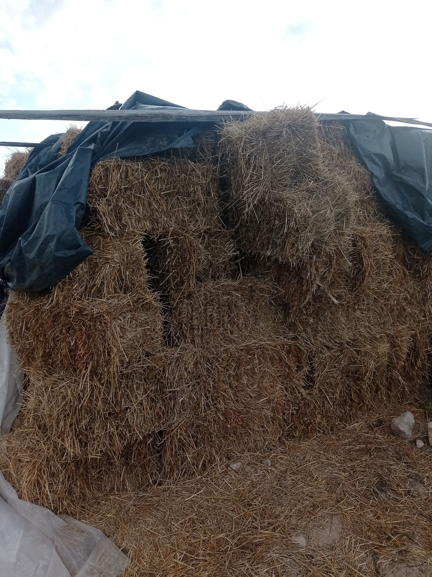 Продам тьоки соломи