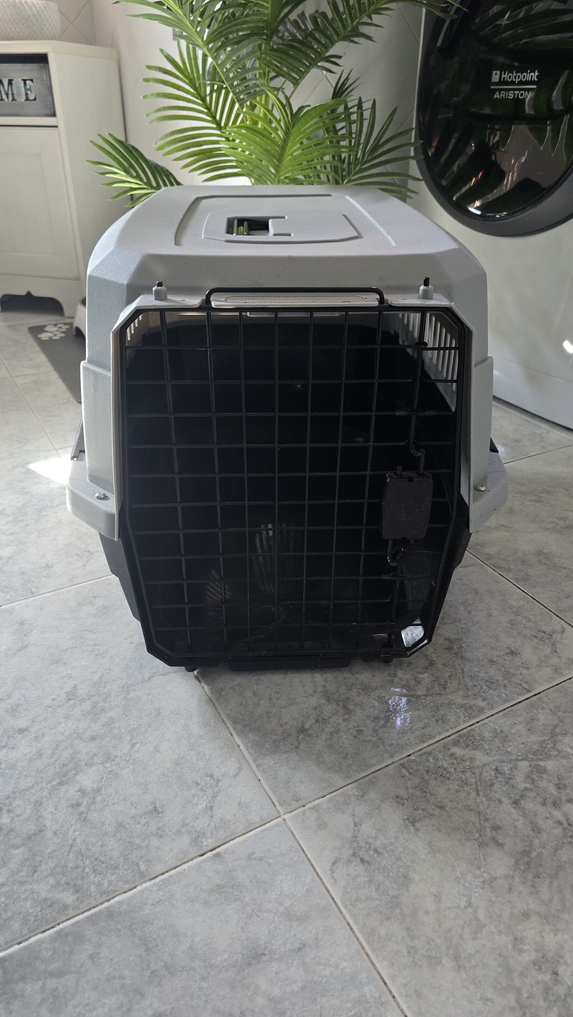 Caixa transportadora animais