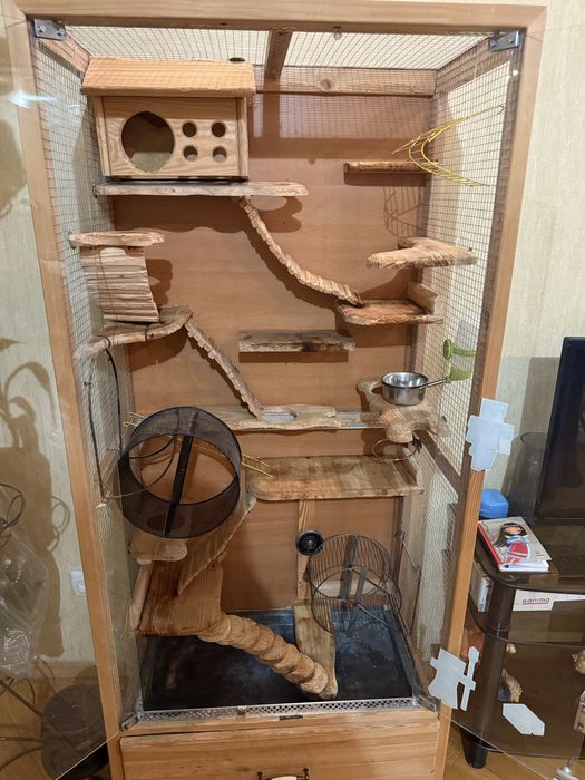 Клітка вітрина для дегу