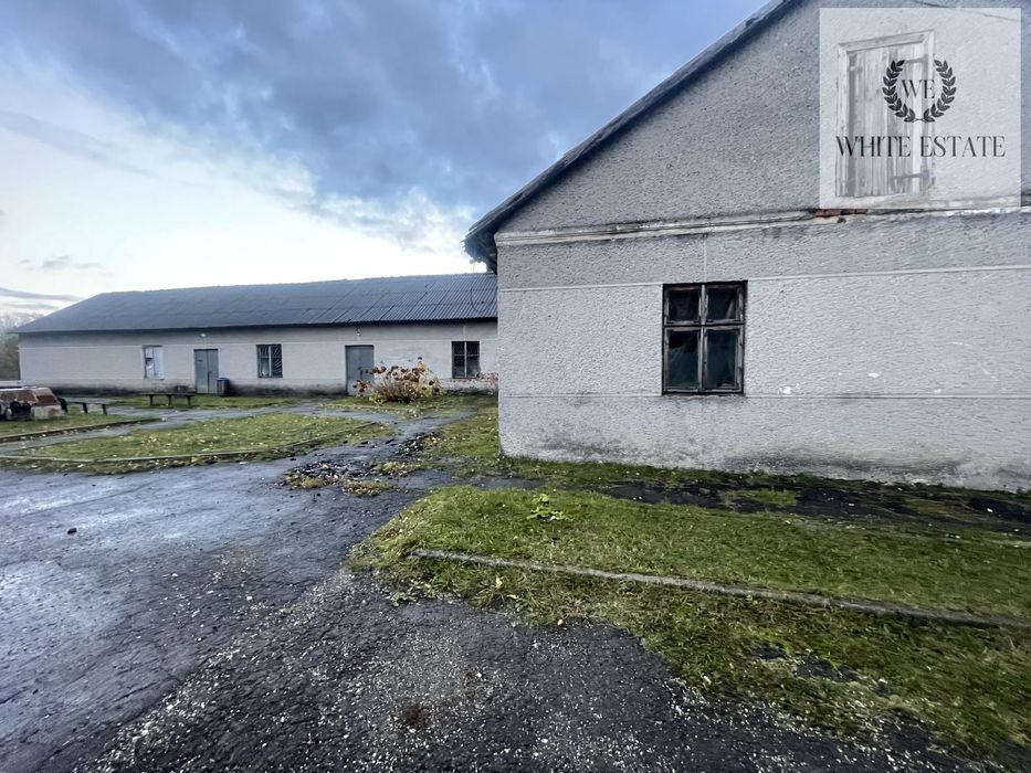 Продаж складського приміщення смт Залізці