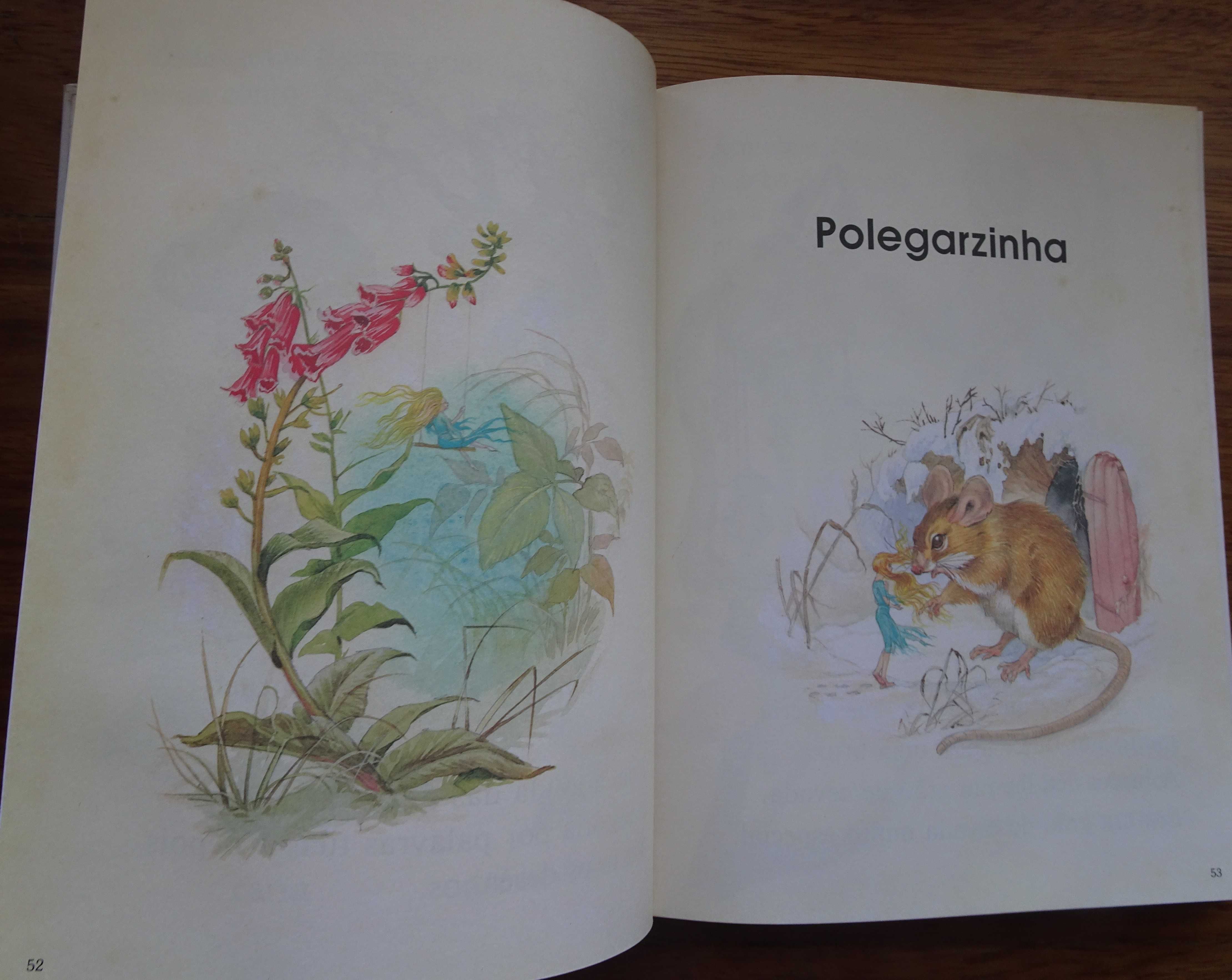 Os Mais Belos Contos de Fadas (Em Letras Grandes / Partir dos 4 Anos)