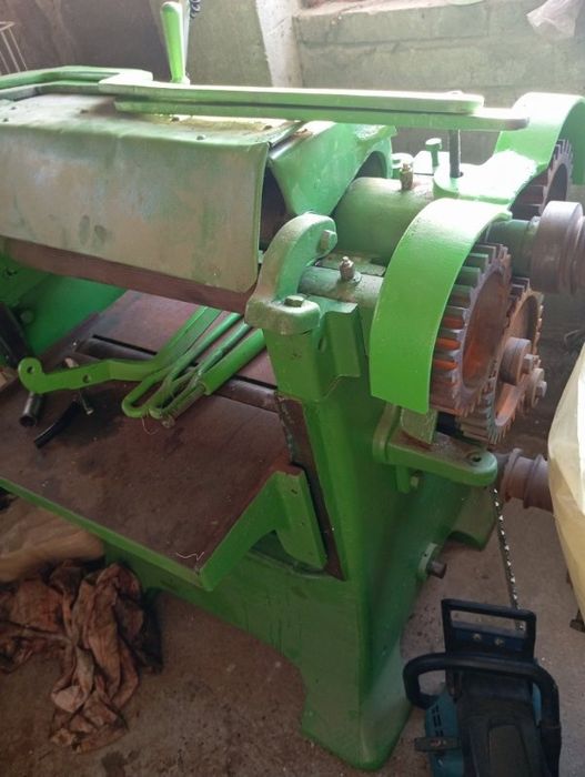 Grubościówka zielona