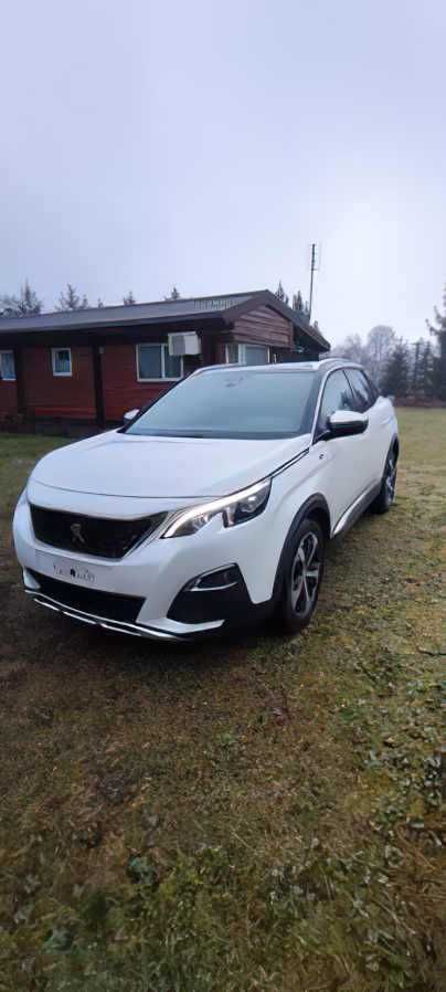 Peugeot       3008