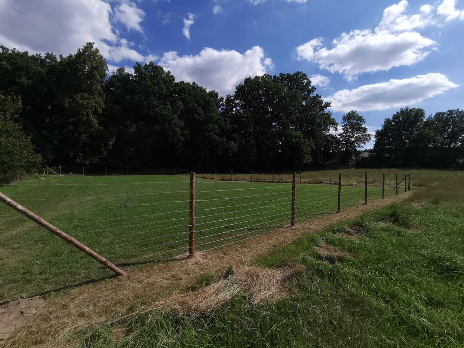 Ogrodzenie tymczasowe budowlane betonowe stemple siatka leśna wycinka