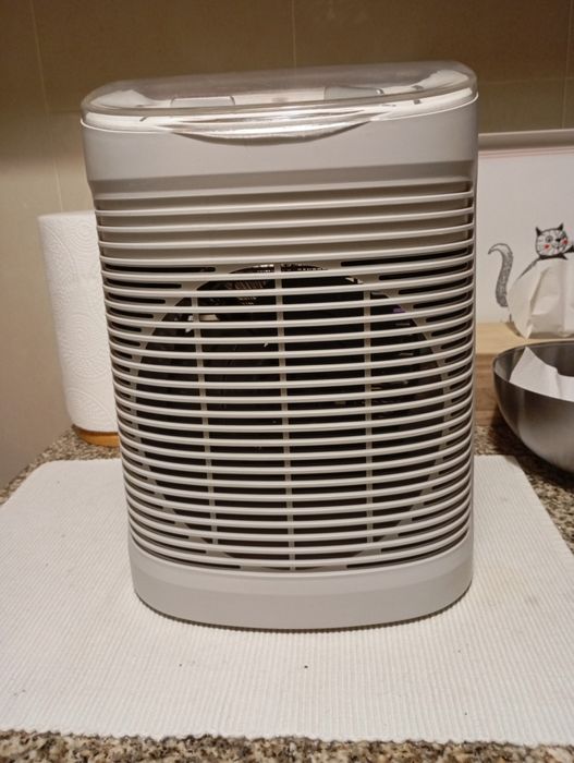 Termo ventilador Rowenta