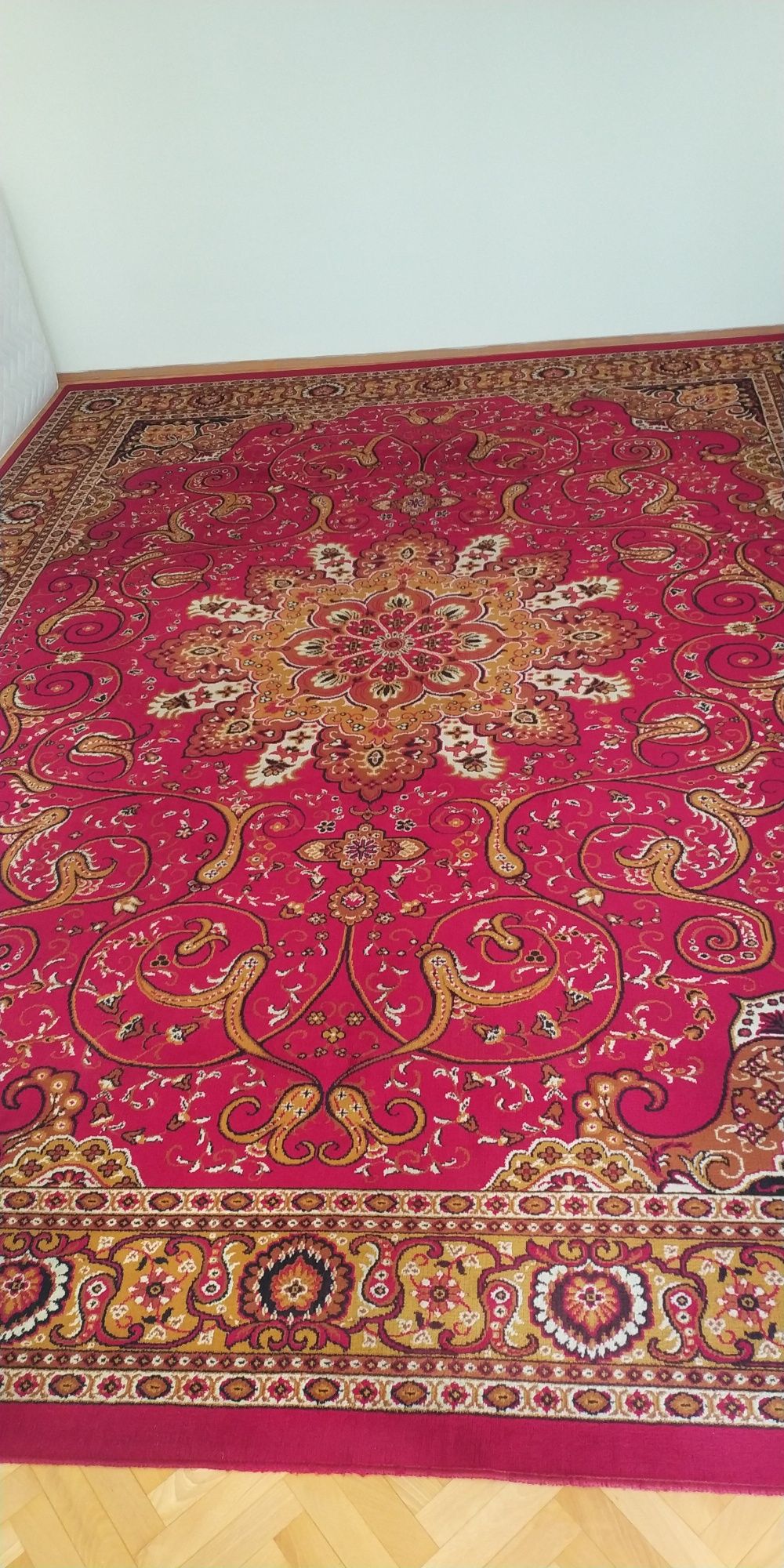 Bardzo duży dywan wzorzysty Agnella 305 x 405