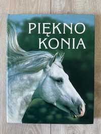 Książka Piękno Konia