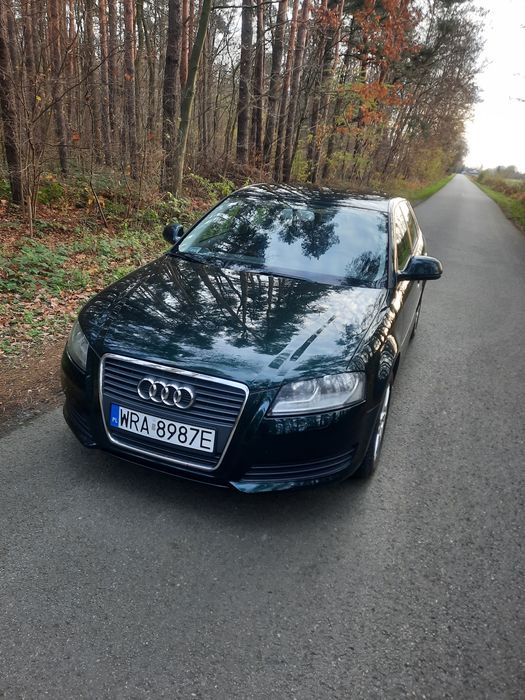 Audi a3 8p 2010r 1.6tdi