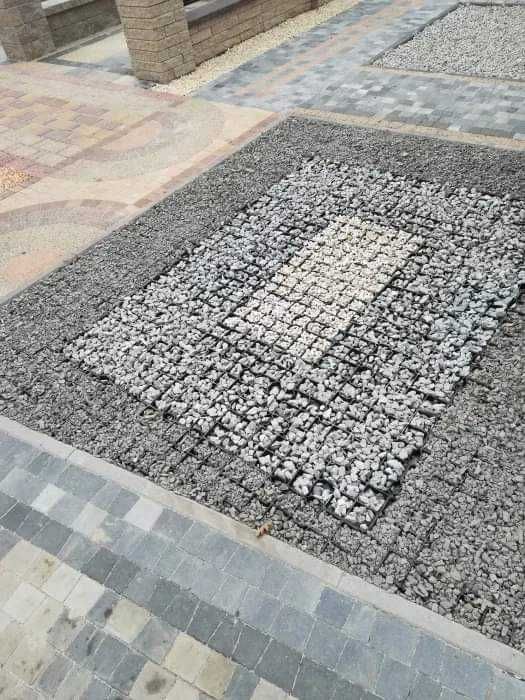 Kratka trawnikowa, ogrodowa