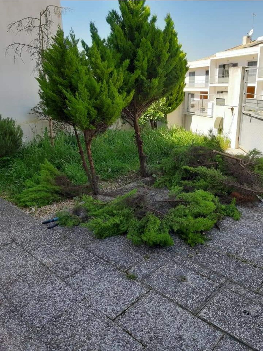 Serviços de jardinagem orçamentos grátis