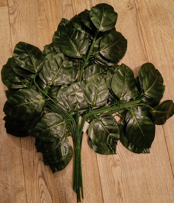 Gałązka gładka magnolia 3x15 liści 12 szt