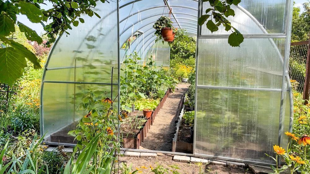 Szklarnia 3x4 poliwęglan 6 profil 20x40 polska produkcja z montażem