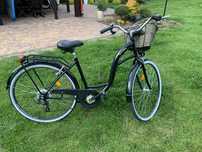 Rower miejski Dallasbike 28