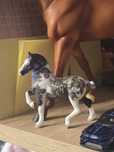 Breyer Stablemates Custom Scratch (Schleich, CollectA)