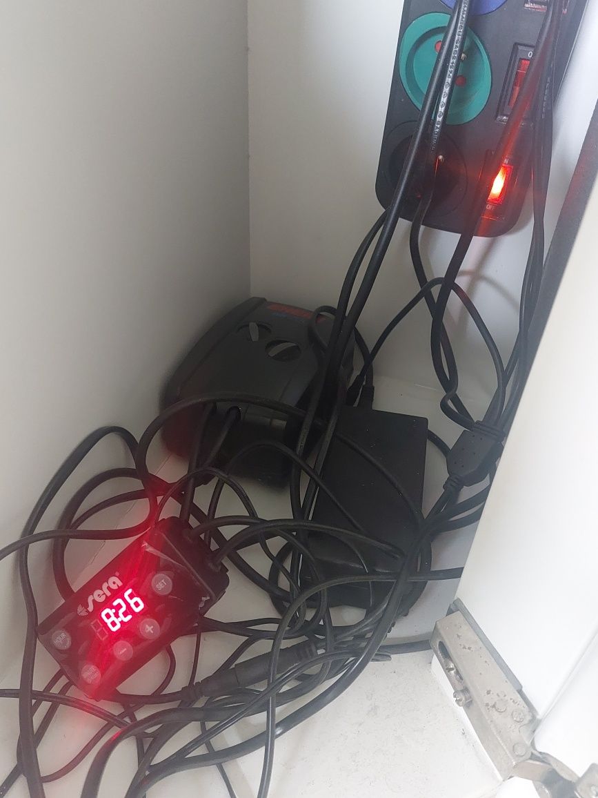 akwarium 250L z szawką