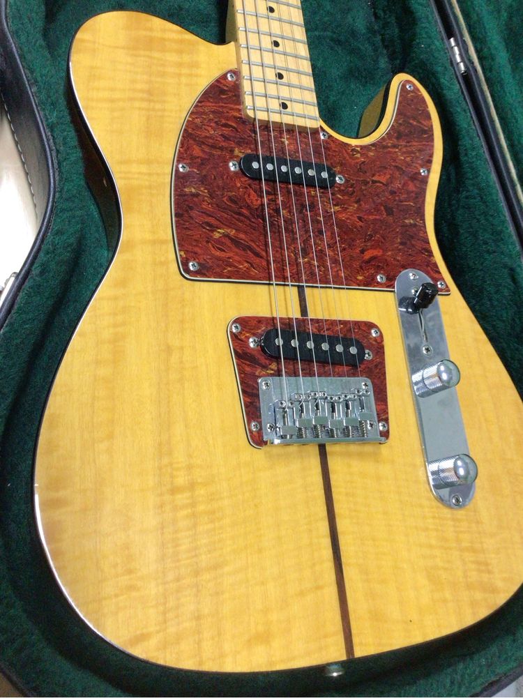 Hohner Professional TE Prinz ( MadCat) Telecaster