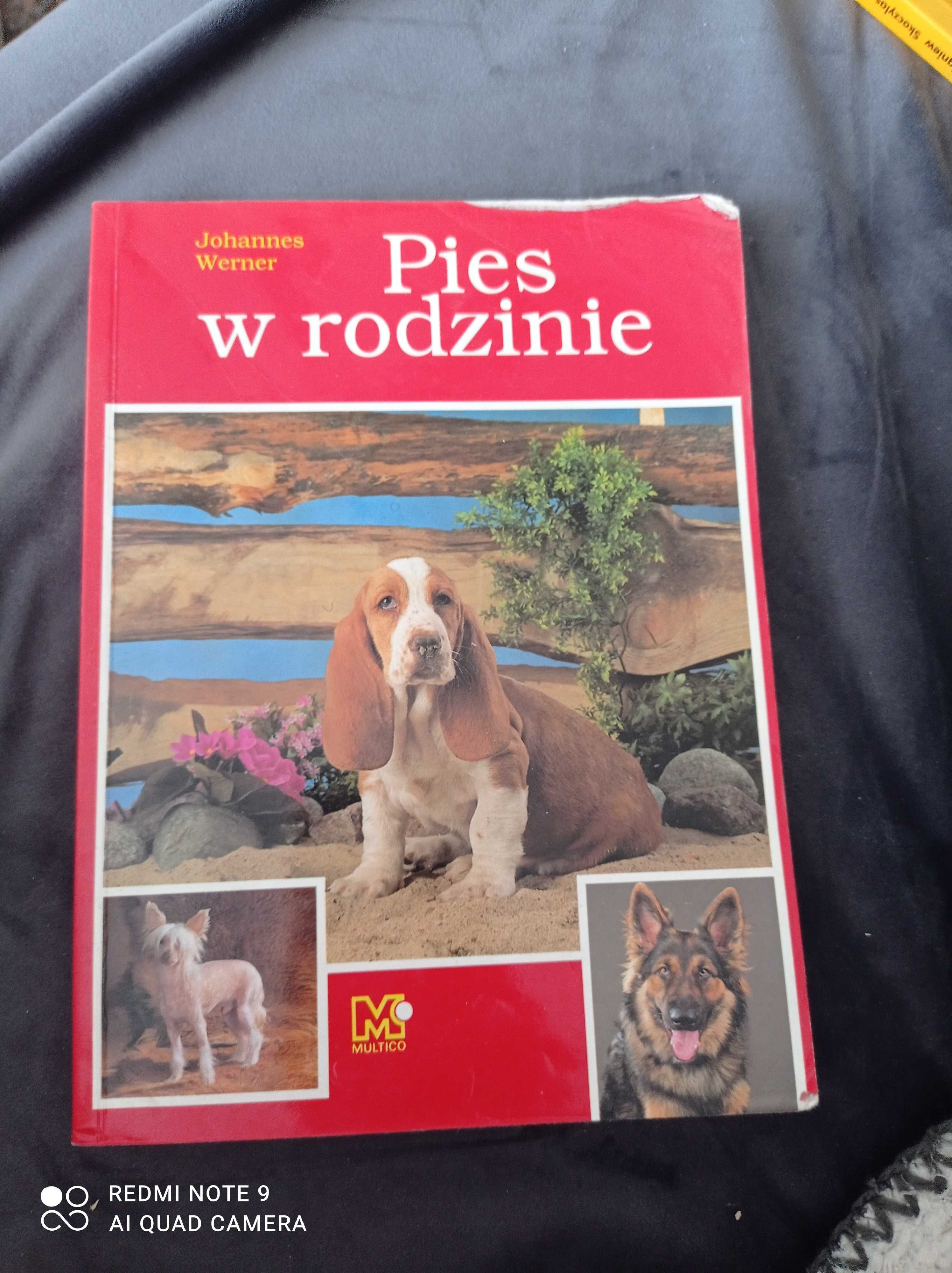 Pies w rodzinie Werner