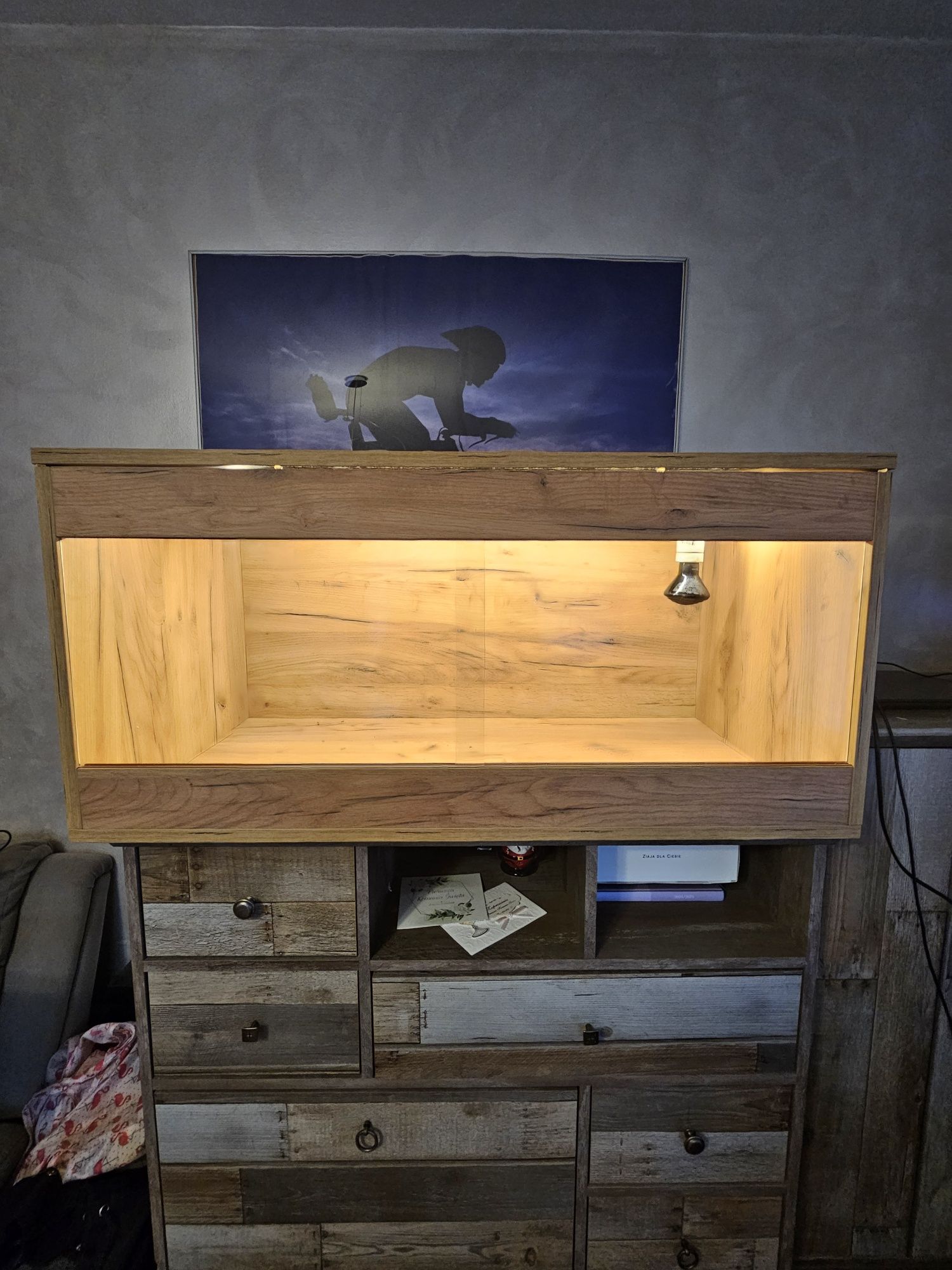 Terrarium dla gekona agamy żółwia węża chomika jeża eleganckie