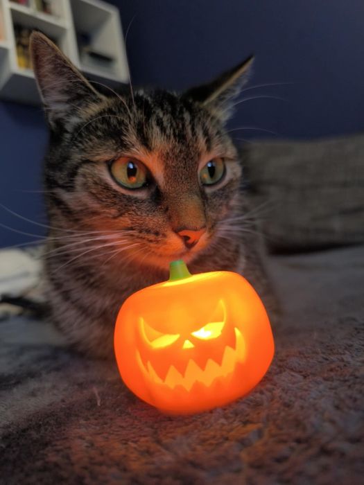 Lampki na Halloween dynie