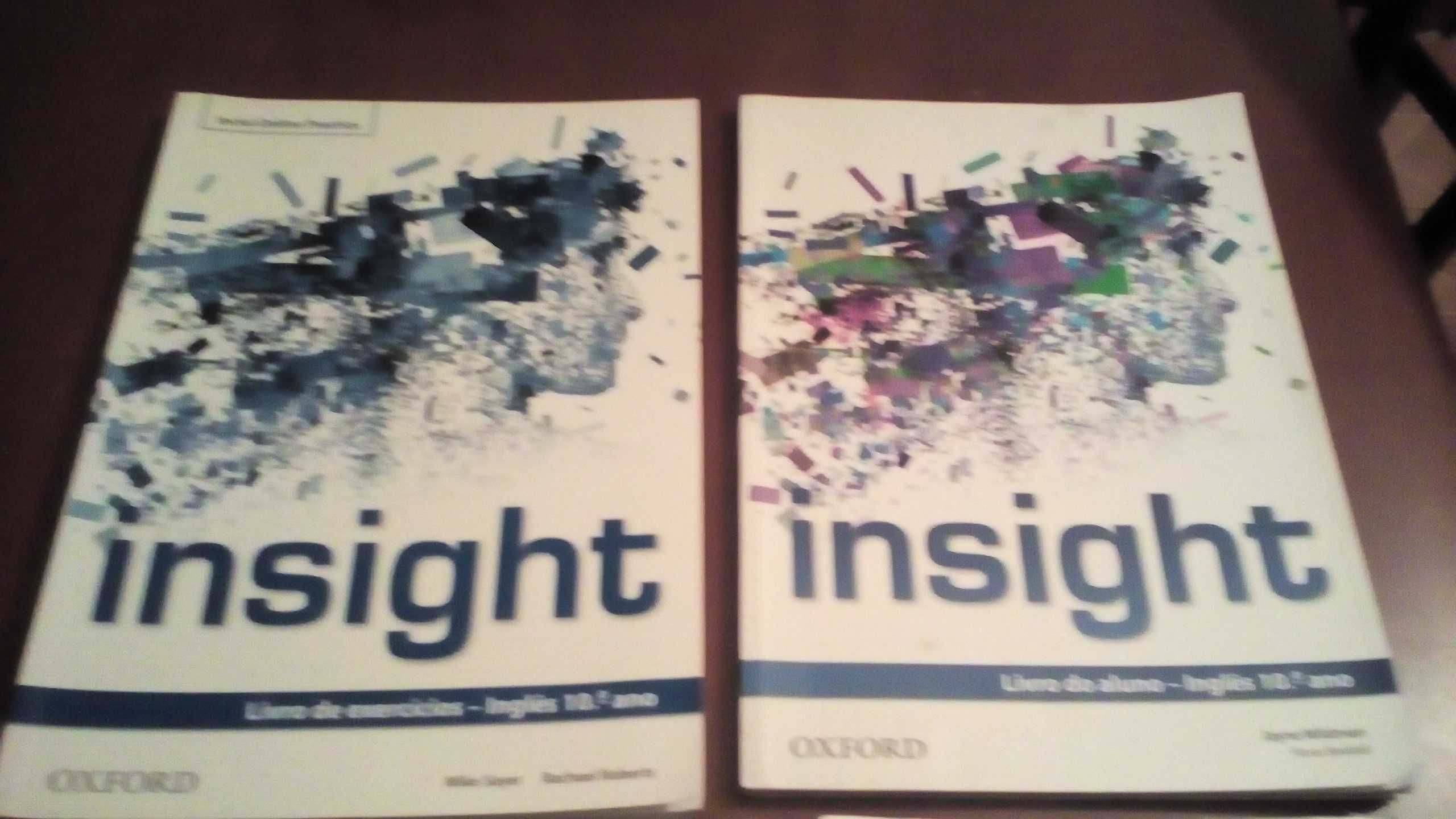 Livros de Inglês - 10º e 11º ano - Insight - Oxford