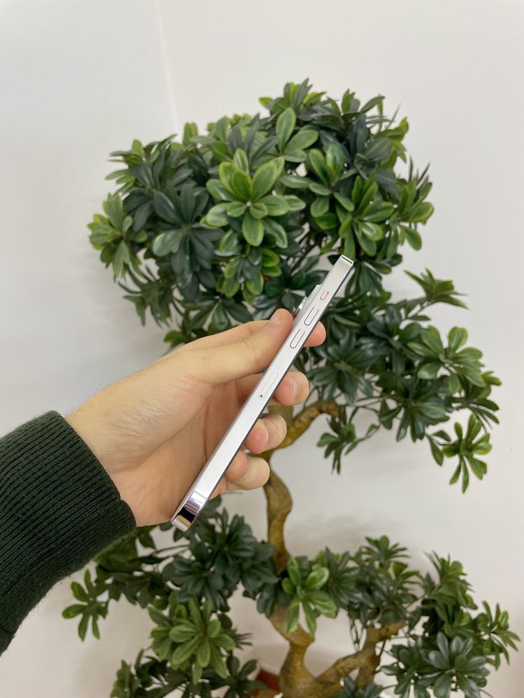 IPhone 14 Pro Max Silver 256 GB + Acessorios (COMO NOVO)
