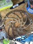 Tarcza hamulcowa shimano sm rt 66 203 mm stunt/fr/dh/freeride