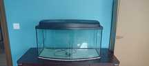 Akwarium ok  120l