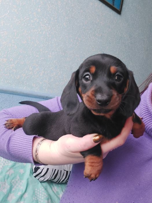 Дівчинка з мраморними генами