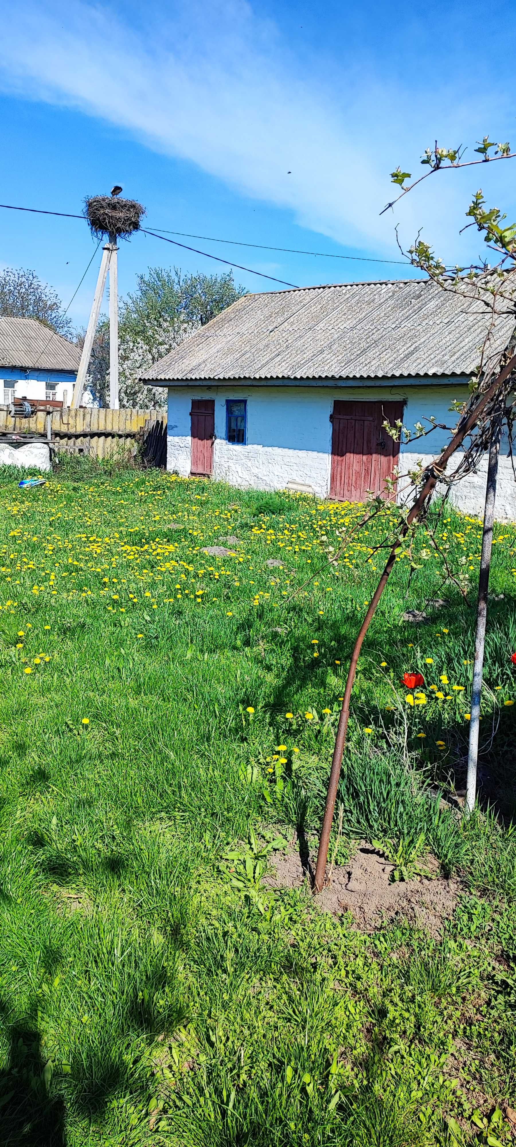 Будинок в селі Галиця Ніжинського району Чернігівської обл.