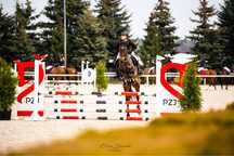 Sportowa klacz 8 lat