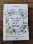 Lecznicze rośliny dziko rosnące Pursell