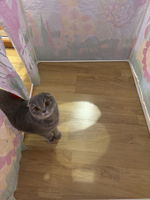 Дитячий будиночок/ палатка Intex