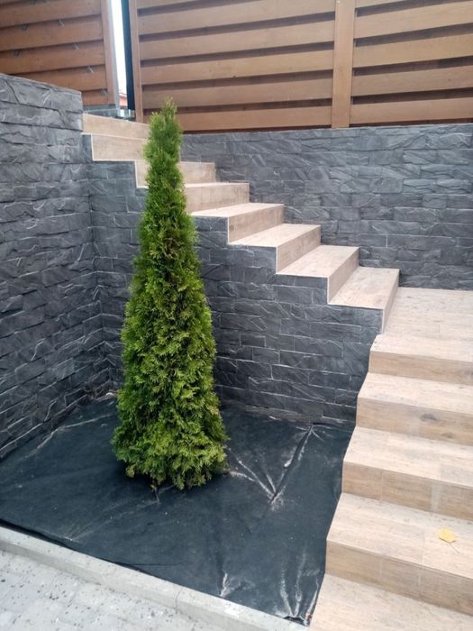 НЕДОРОГО! Ремонт квартир, ремонтные работы под ключ