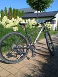 Rower Trek Marlin