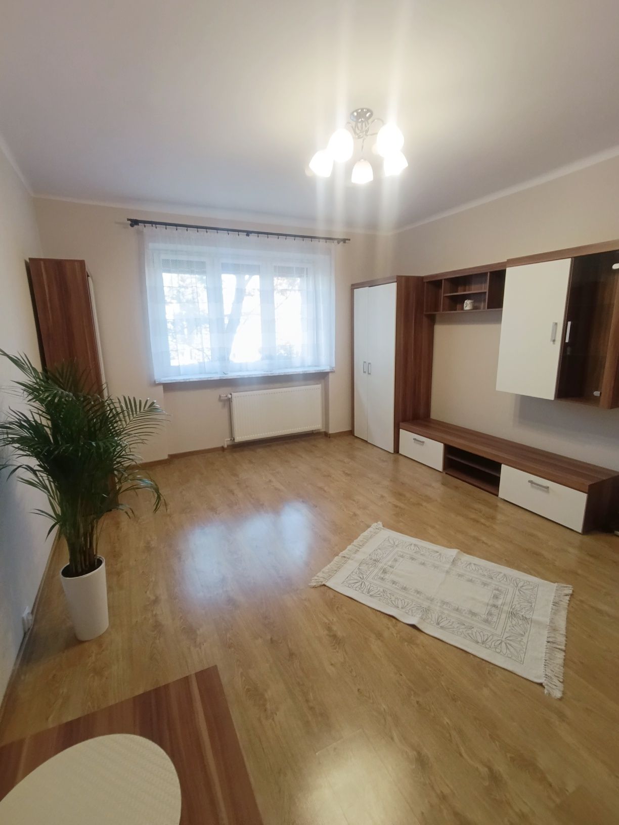W centrum, duża, gotowa do wejścia kawalerka