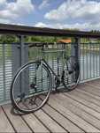 Rower single speed z piastą planetarną na stalowej ramie 56cm