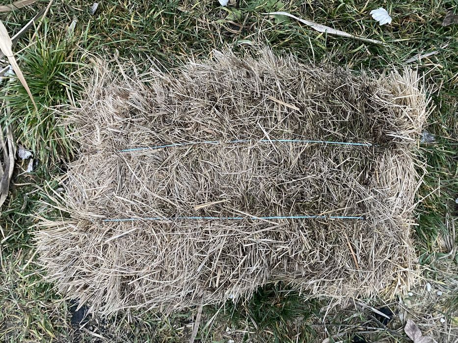 Сено луговое в тюках 140 грн. Безлюдовка.