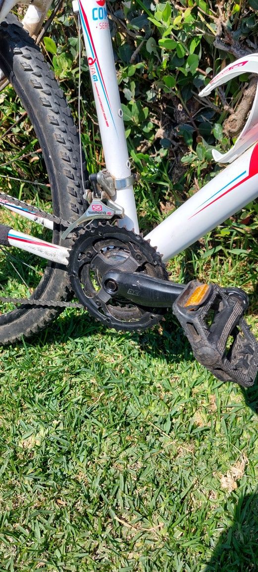 Berg trail Rock LTD
