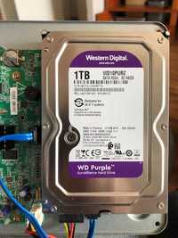 WD Purple 1TB 3,5'' 64MB SATAIII WD10PURZ