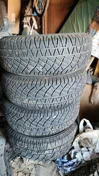 Michelin Latitude