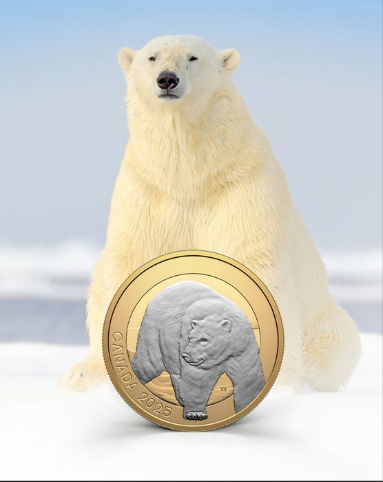 Срібна монета Канади "Білий медвідь". В наявності!