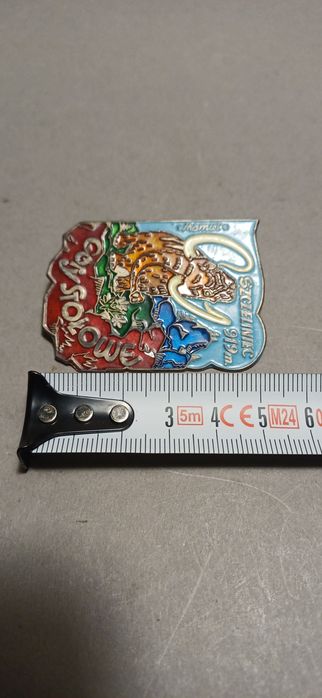 Odznaka turystyczna szczelinie