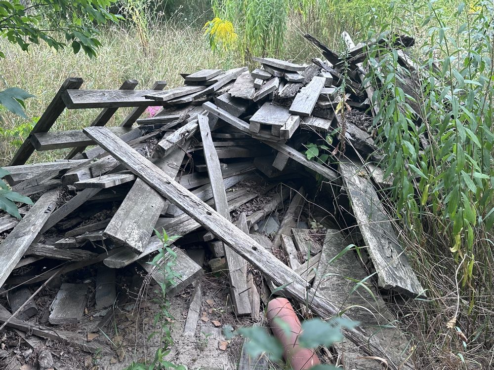 Дерево на дрова или для стройки