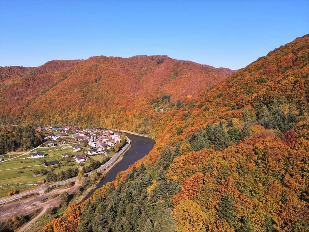 Domek nad Dunajcem Pieniny