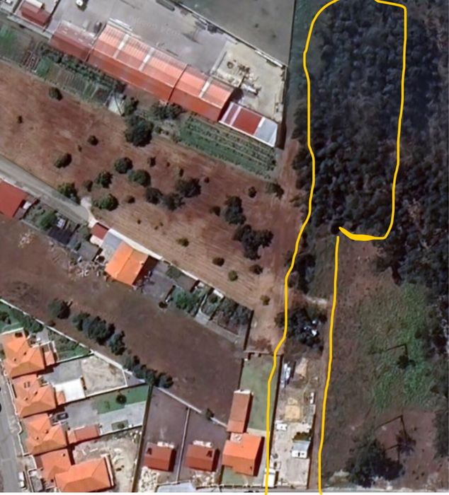 Terreno  Vieira Leiria
