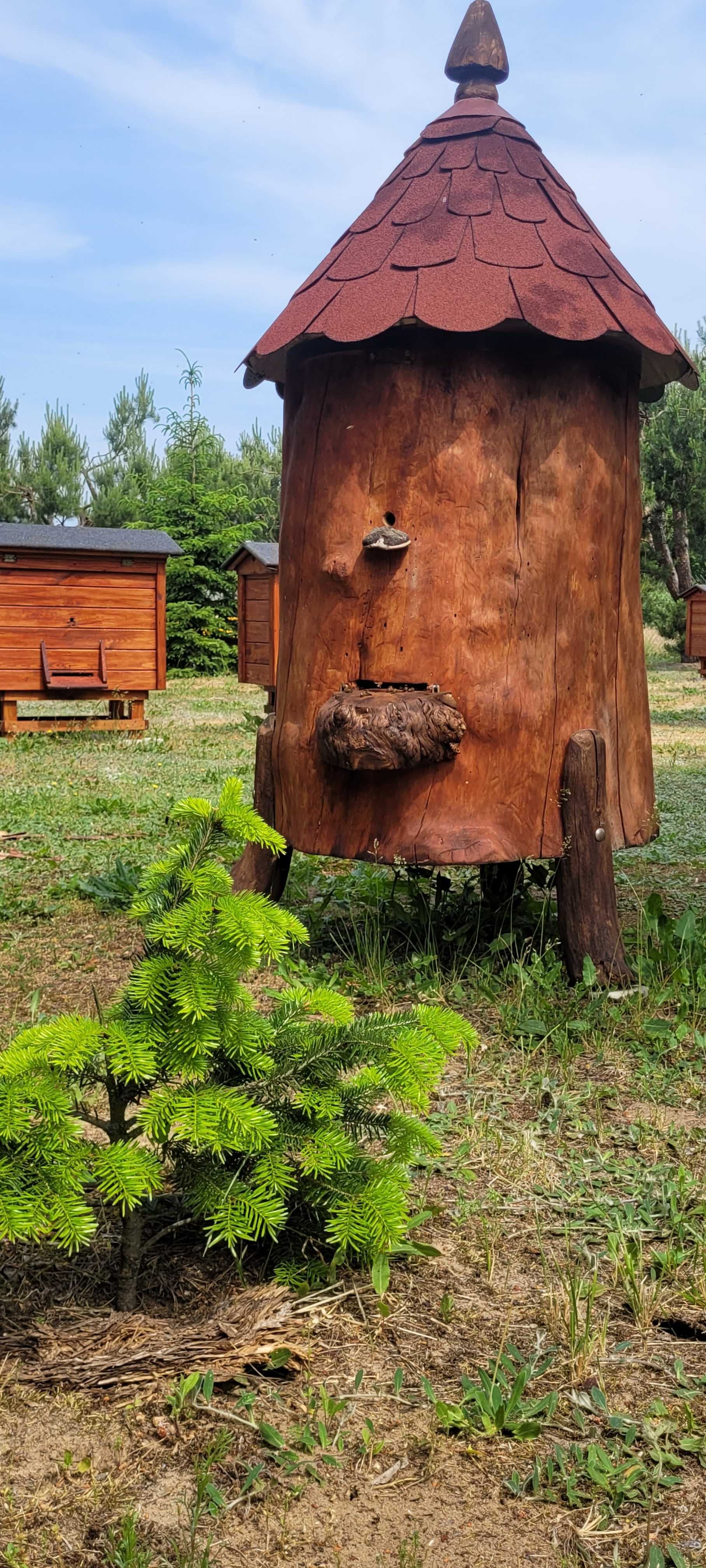 Miód naturalny z własnej pasieki