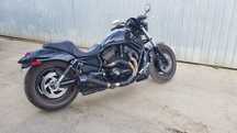 Harley Davidson night rod special (v-rod)
