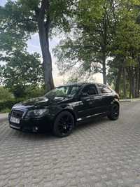 Audi a3 8p polift