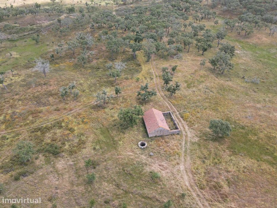 Terreno Rústico  Venda em Grândola e Santa Margarida da Serra,Grândola