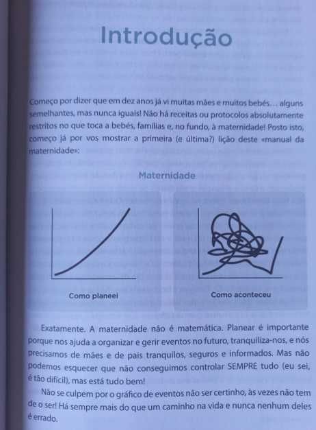 Estamos Grávidos! E Agora? - Carmen Ferreira